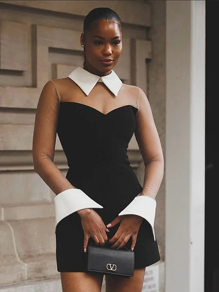 Patchwork Polo Collar Sheer Mesh Dress Black Long Sleeve Mini Dress