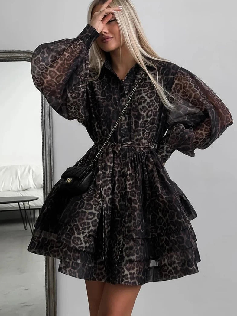 Leopard Long Sleeve Mini Dress