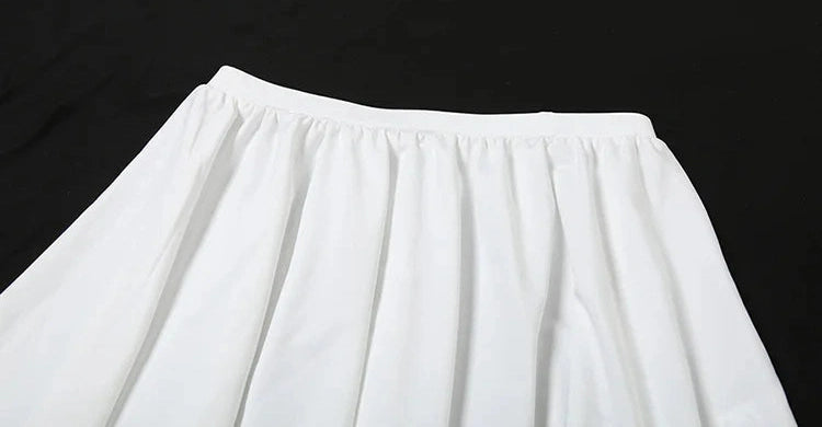 See Through Two Piece Set Basic Skew Collar Crop Top Pleated Skirt Matching