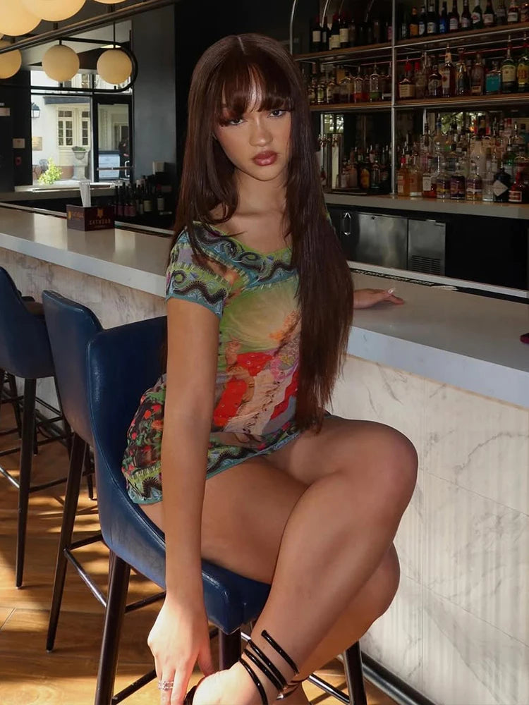 Mesh Short Sleeve Crew Neck Mini Dress