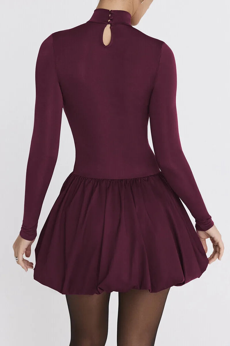 Patchwork Turtleneck Long Sleeve Mini Dress Burgundy High Waist A-line Dress Slim Street