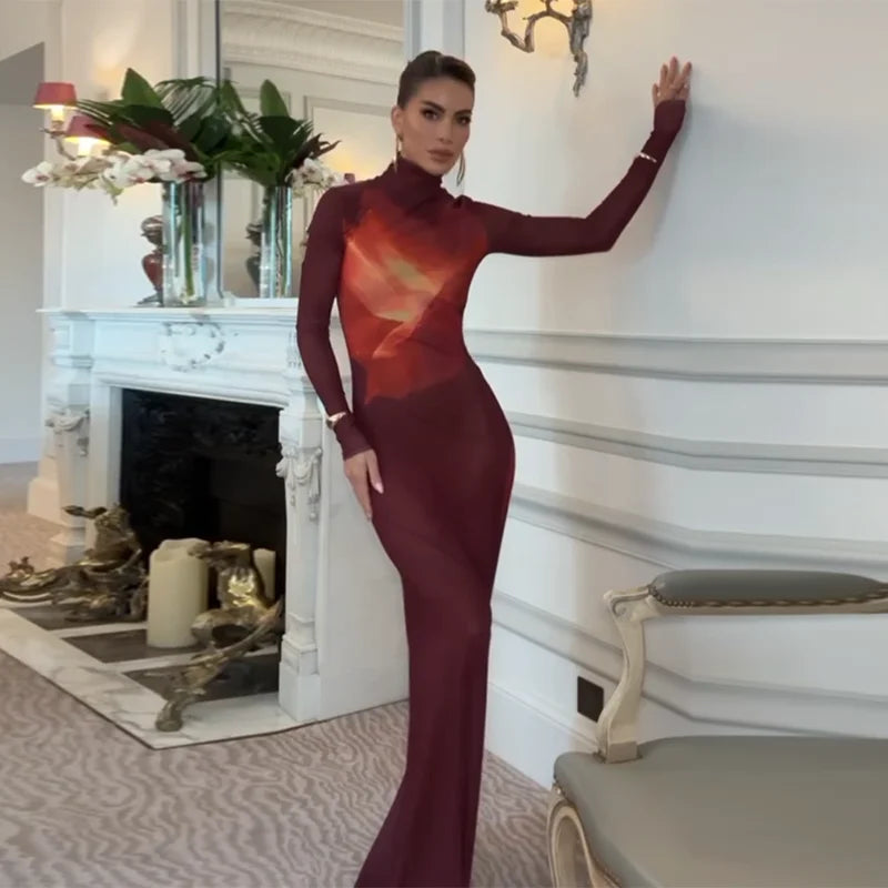 Slim See-Through Long Sleeve Neck Meh Halo Long Dress