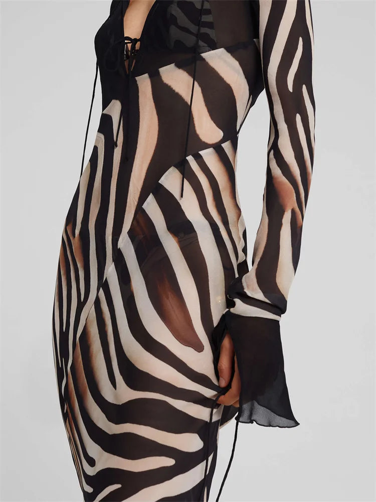 Transparent V-Neck Long Sleeve Dress High Waist Pullover Street Dress