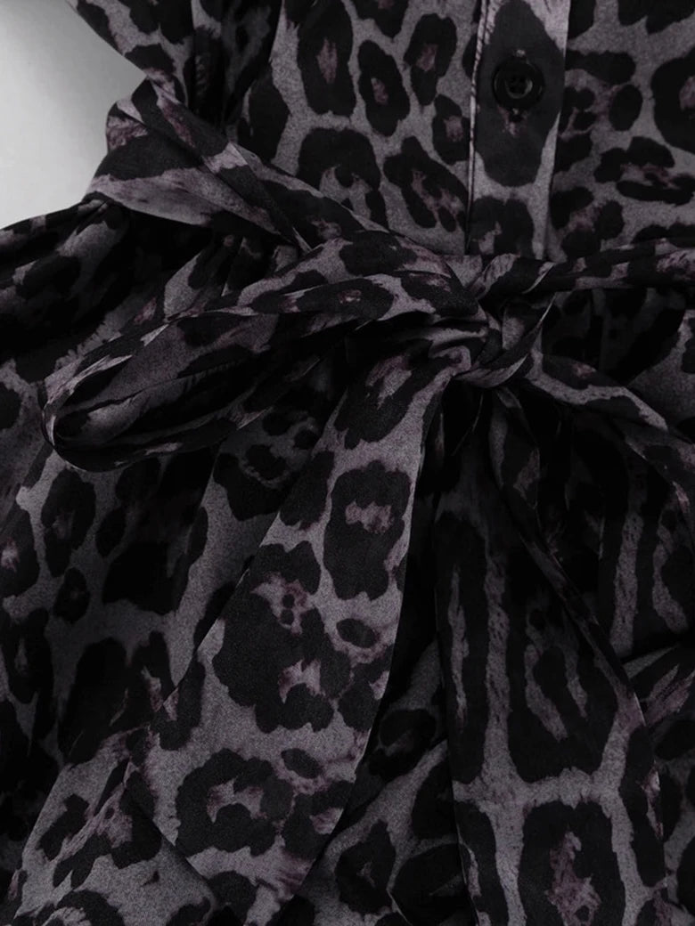 Leopard Long Sleeve Mini Dress
