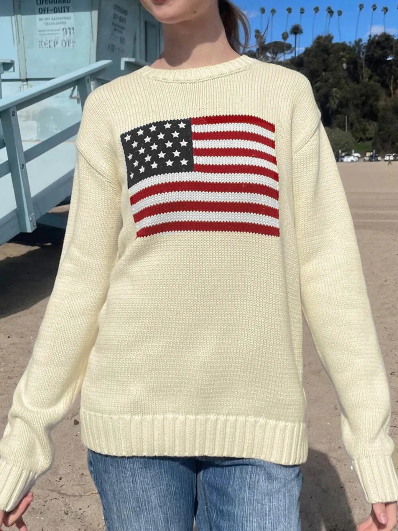 Graphic Knit Sweater Crewneck Pullover Looe