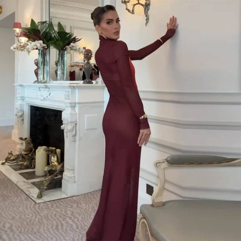 Slim See-Through Long Sleeve Neck Meh Halo Long Dress