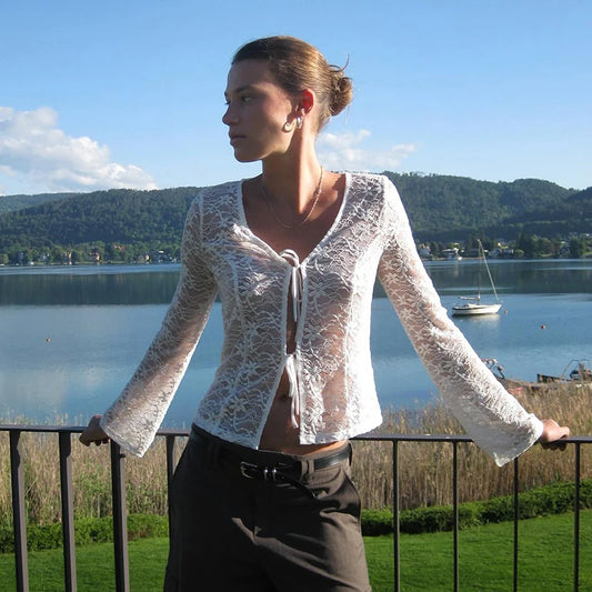 Lace Hollow Out See Through Long Sleeve Top