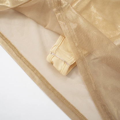 Luxury Sheer Camisole Swing Dress