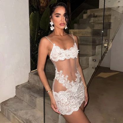 See Through Lace Mesh Backless Mini Dress
