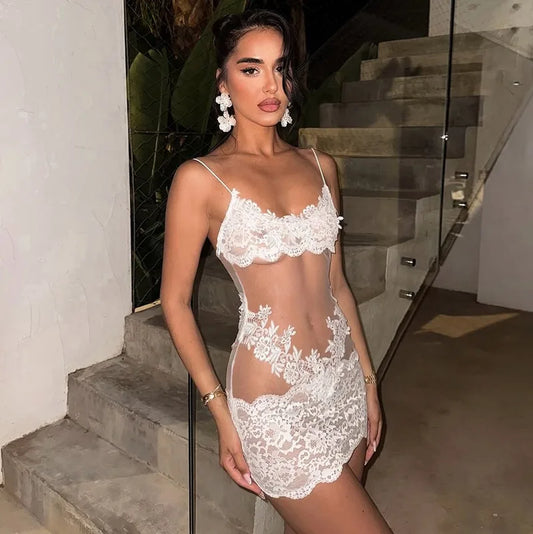 See Through Lace Mesh Backless Mini Dress