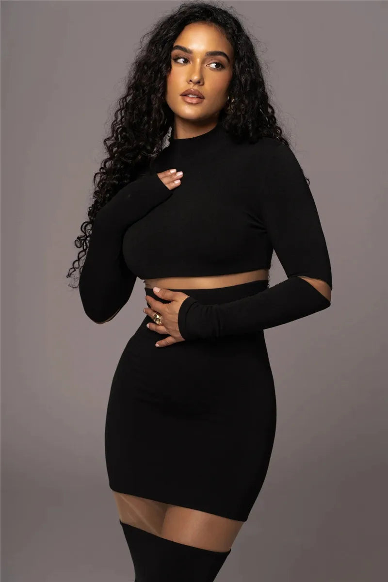 Patchwork Bodycon Midi Dress Turtleneck Long Sleeve Dress