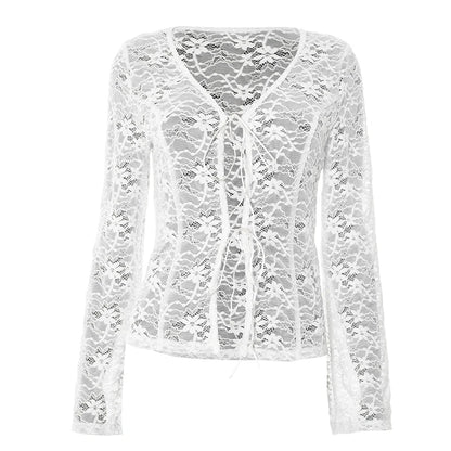 Lace Hollow Out See Through Long Sleeve Top