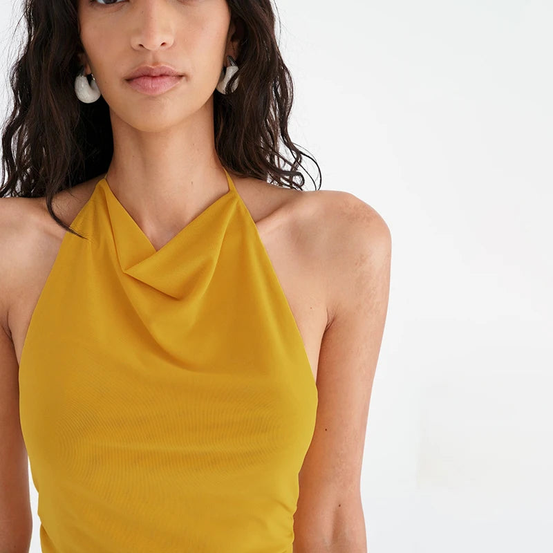 Backless Pleat Meh Hanging Neck Top